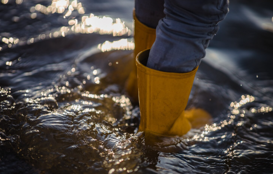 flood insurance